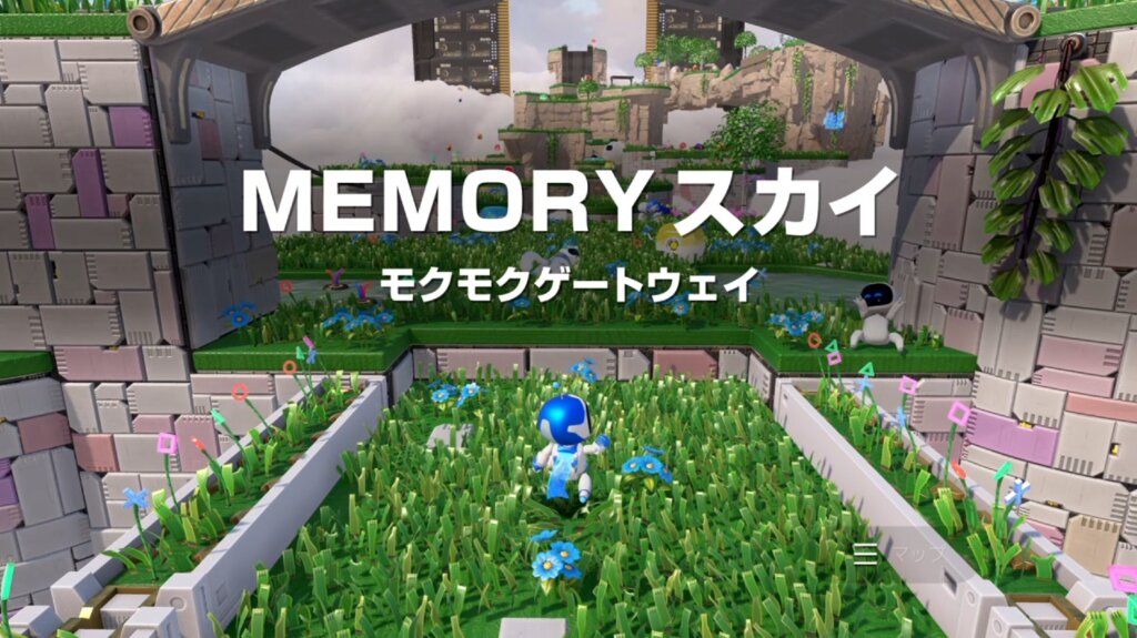 MEMORY SKY